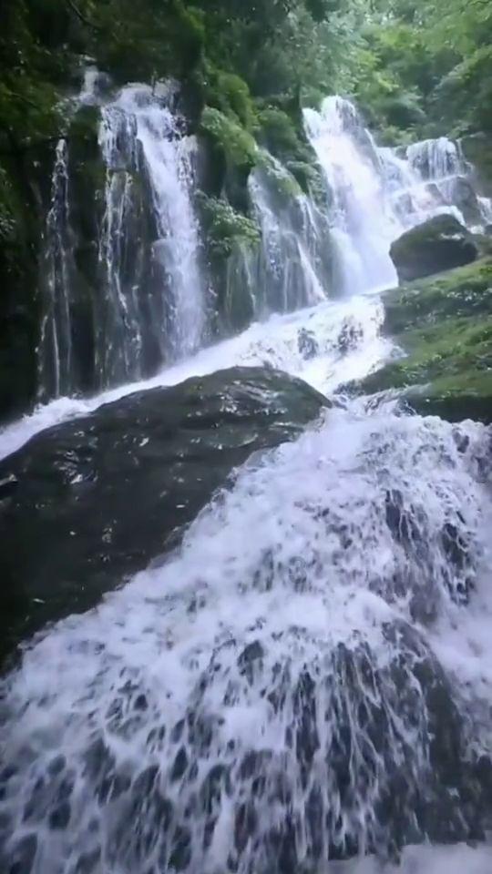 阿凯历险记